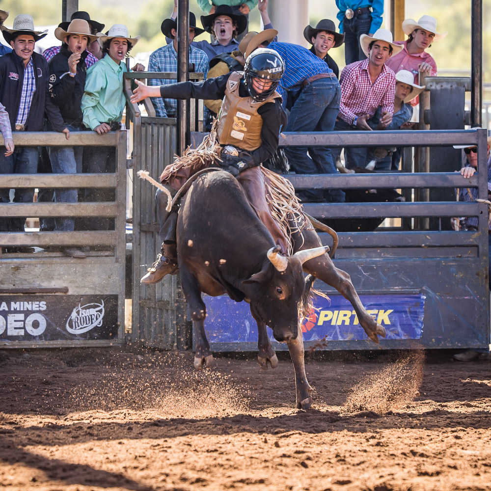 Junior Bull Ride Portfolio Rodeo Mount Isa Mines Rodeo 2022