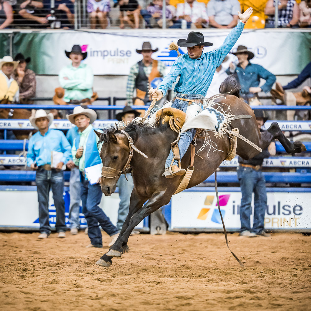 AS SEEN ON FACEBOOK PORTFOLIO RODEO ABCRA NATIONAL FINALS 2022