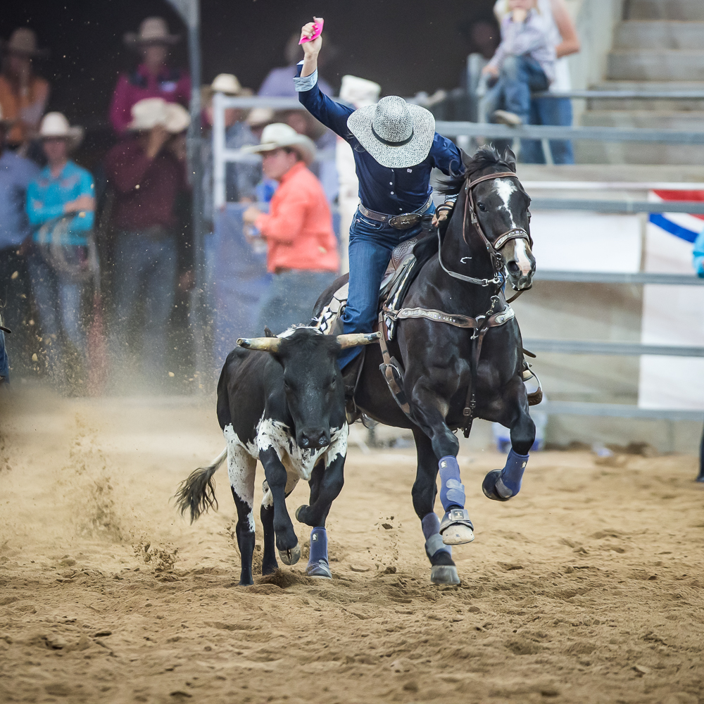 PORTFOLIO - RODEO - ABCRA RODEO ROUNDUP 2021 - www ...