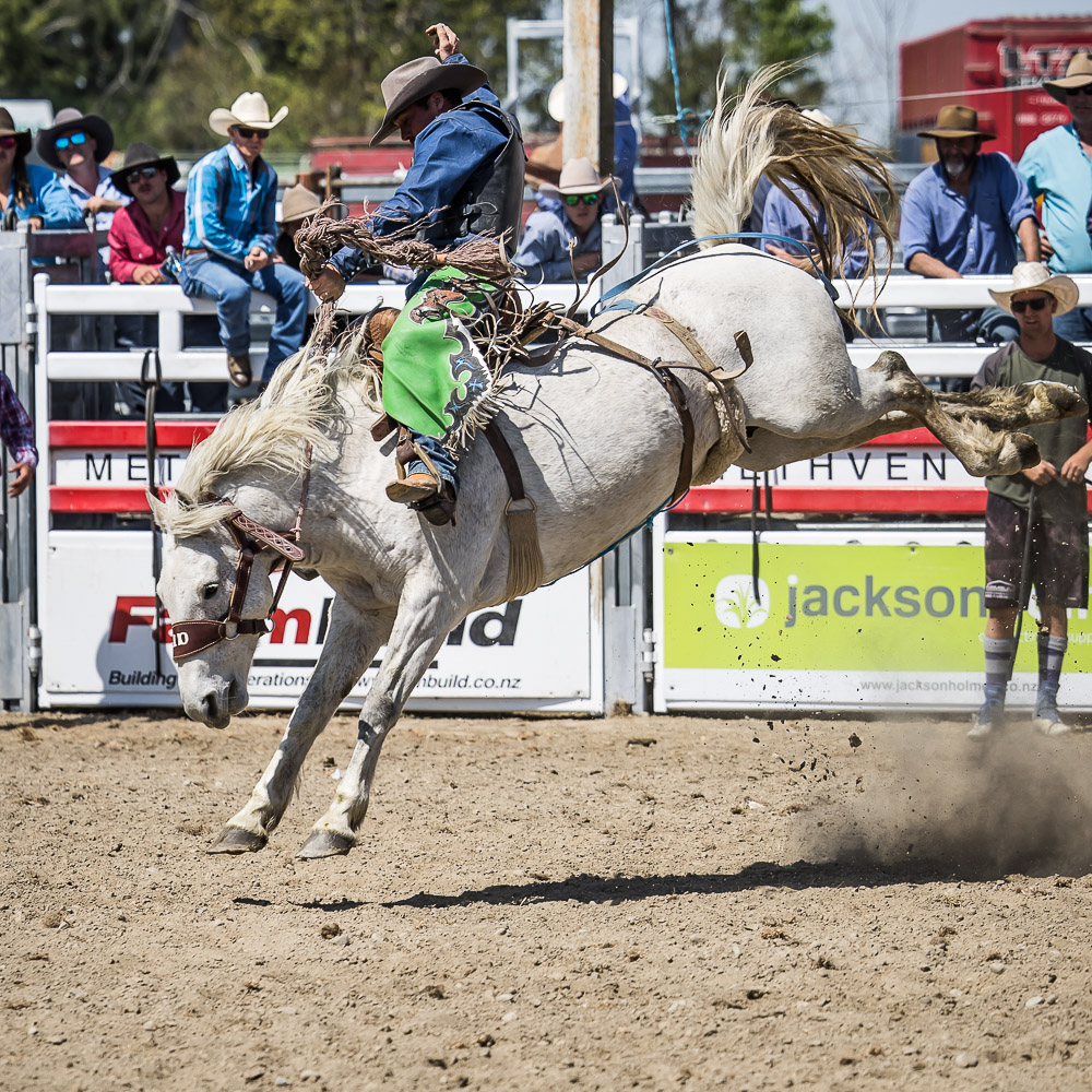 SADDLE BRONC - PORTFOLIO - RODEO - METHVEN RODEO 2022 - www ...