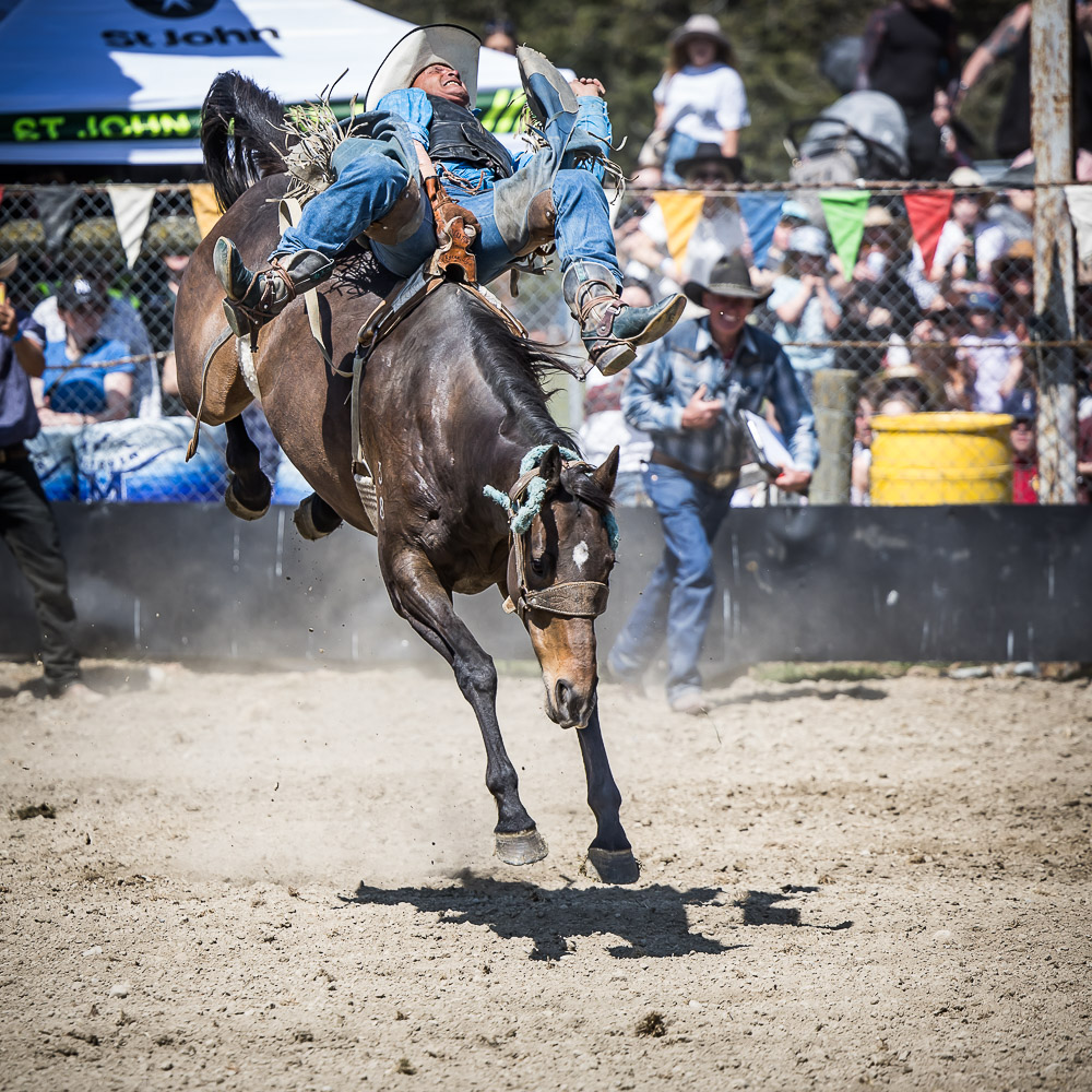 BAREBACK - PORTFOLIO - RODEO - METHVEN RODEO 2022 - www ...