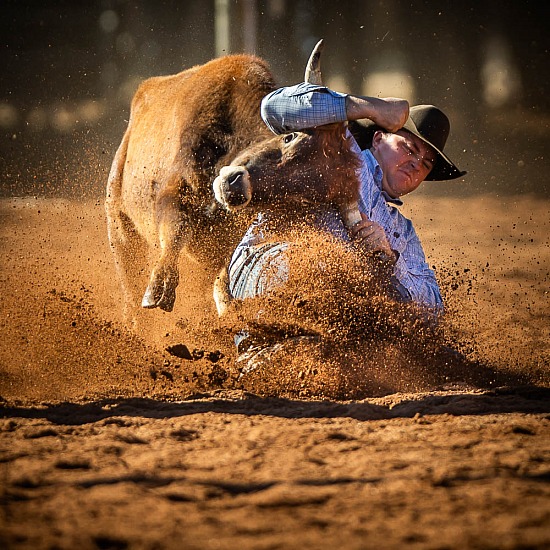 STEER WRESTLING