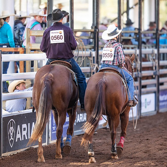 JUNIOR TEAM ROPING