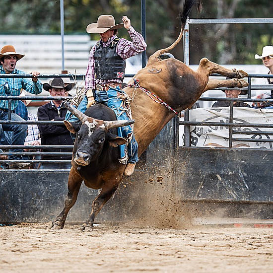 BULL RIDE - MIGHTY MATCH-UP INVITATIONAL
