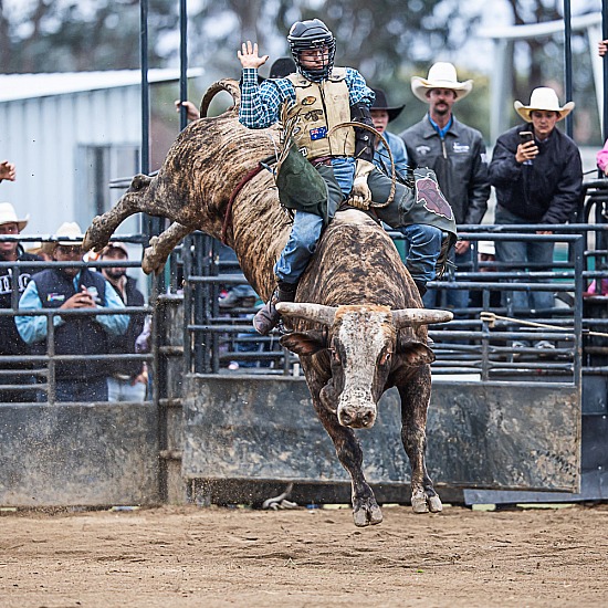 BULL RIDE - ROD BRIEN MEMORIAL