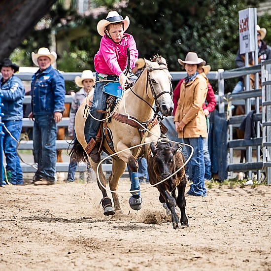 JUNIOR BREAKAWAY ROPING
