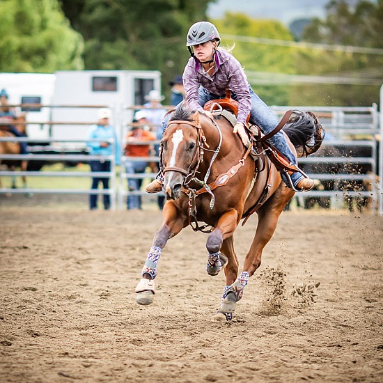 NOVICE BARREL HORSE