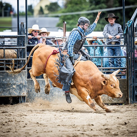 NOVICE BULL RIDE