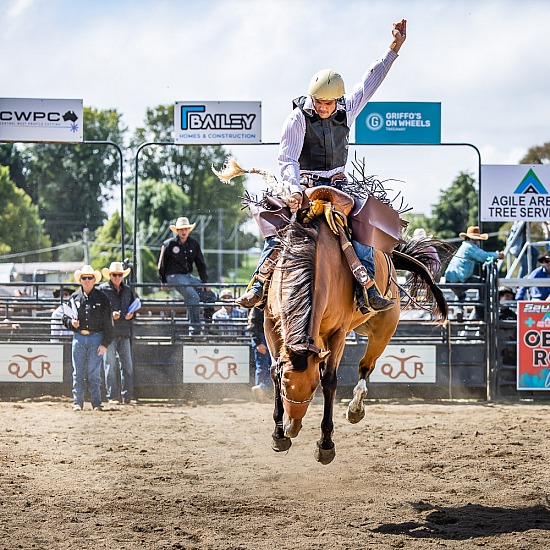 NOVICE SADDLE BRONC