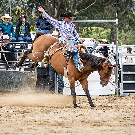 SADDLE BRONC - JACK JOHNSTON MEMORIAL