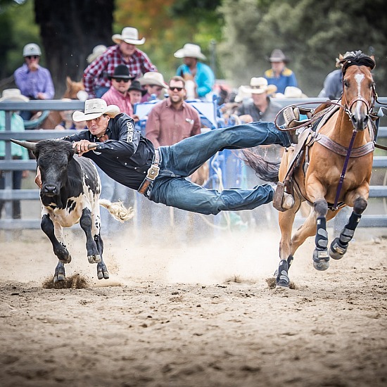STEER WRESTLING