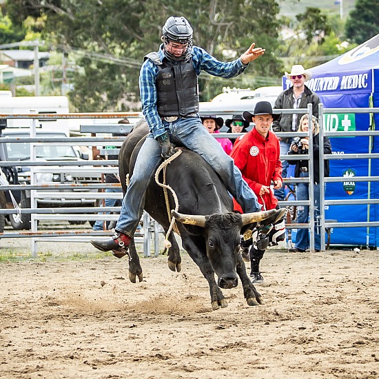 JUVENILE STEER RIDE 14-U18