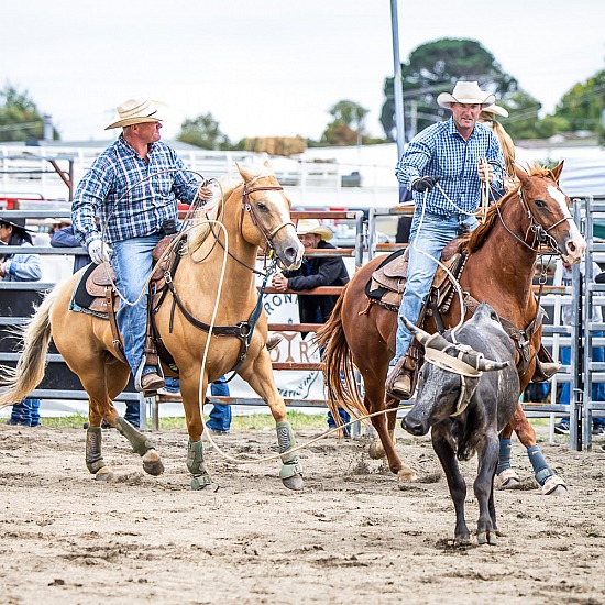 TEAM ROPING