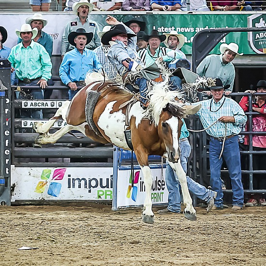 OPEN BAREBACK