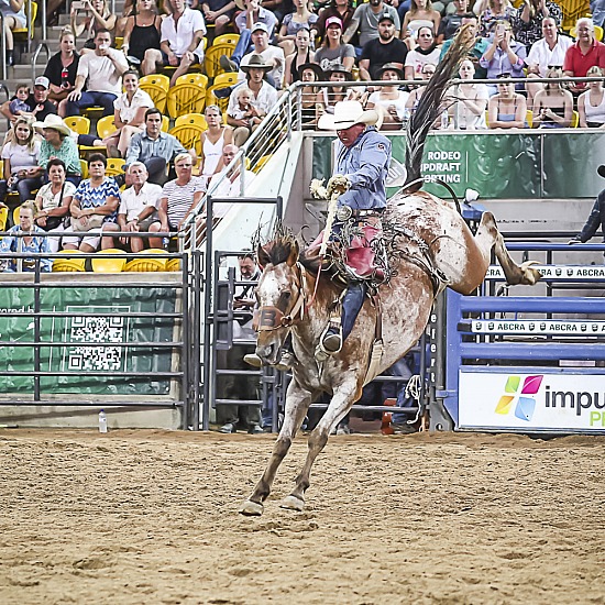 OPEN SADDLE BRONC