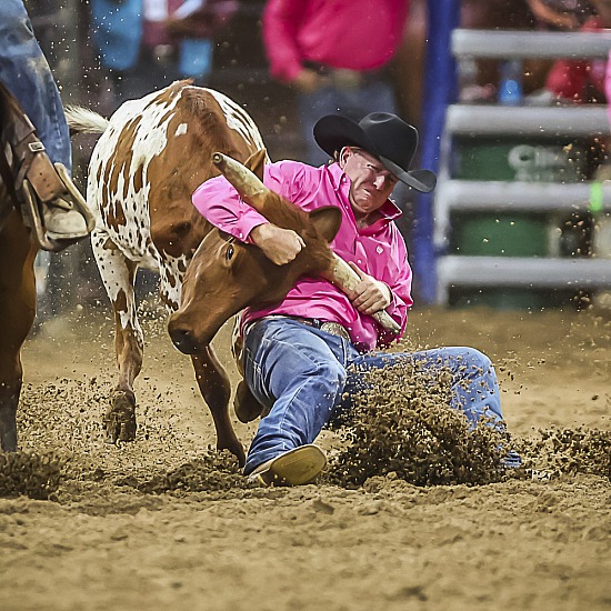 STEER WRESTLING