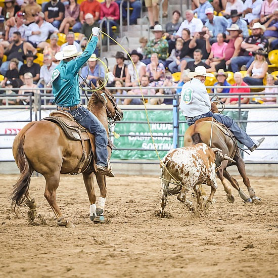 TEAM ROPING