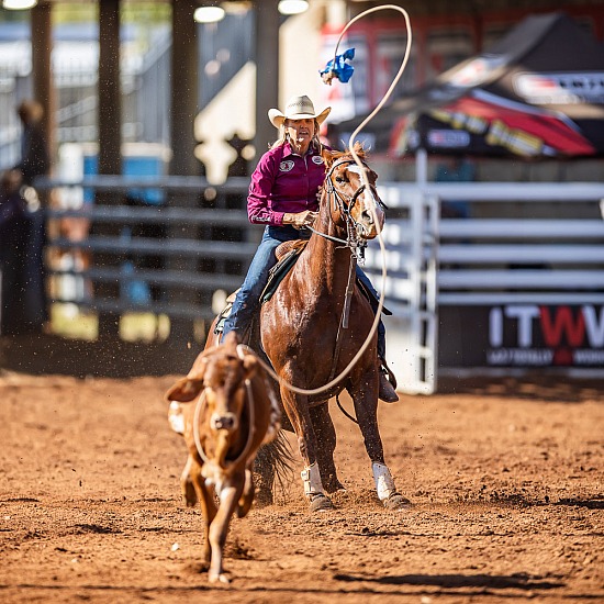 BREAKAWAY ROPING - SECTIONS