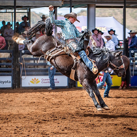 SADDLE BRONC