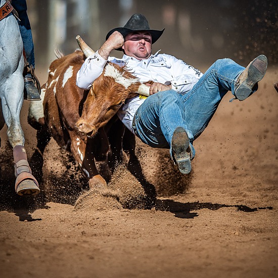 STEER WRESTLING