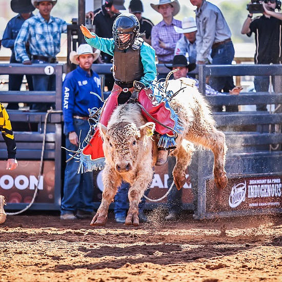 INTERNATIONAL MINI BULL CHALLENGE