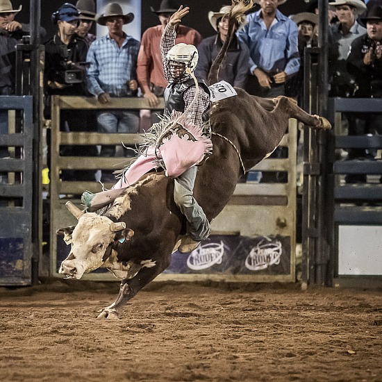 JUNIOR BULL RIDE