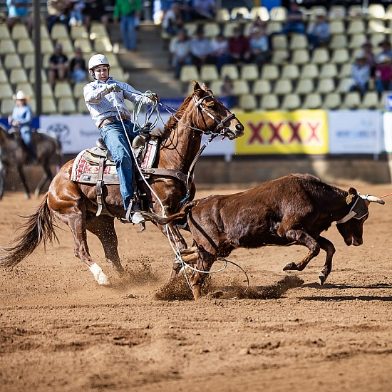 JUNIOR TEAM ROPING