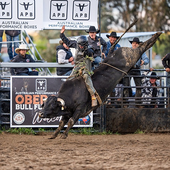 BULL RIDE RD 3