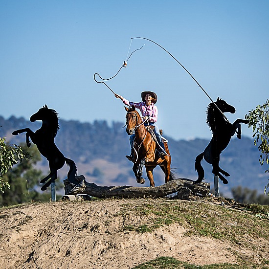 MAN FROM SNOWY RIVER 2024