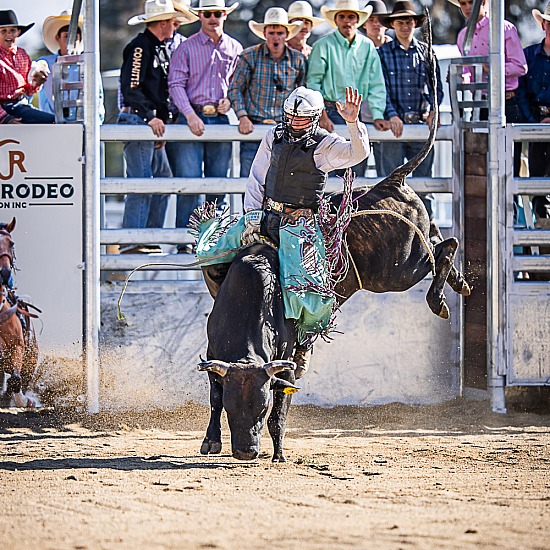14-U18 JUNIOR BULL RIDE