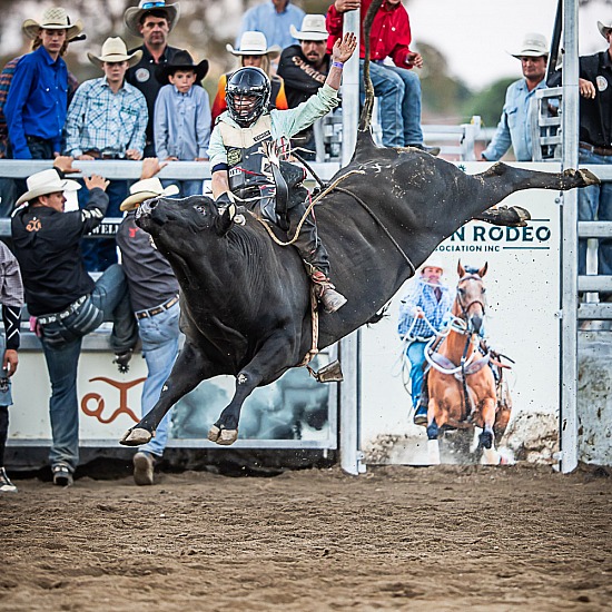 BULL RIDE