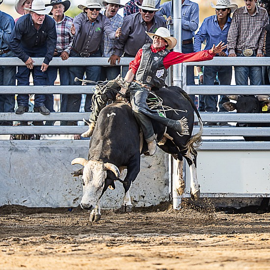 BULL RIDE - MATCH UP