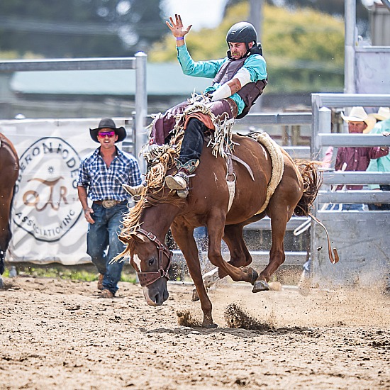 NOVICE BAREBACK