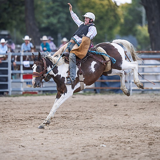 NOVICE SADDLE BRONC