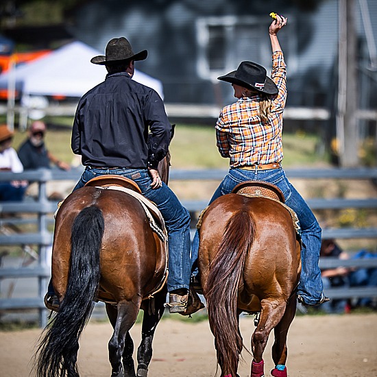 STEER UNDECORATING