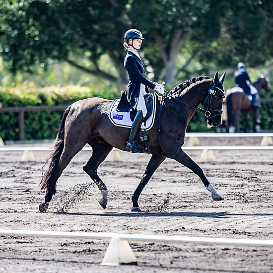 SECONDARY ADVANCED 5.2