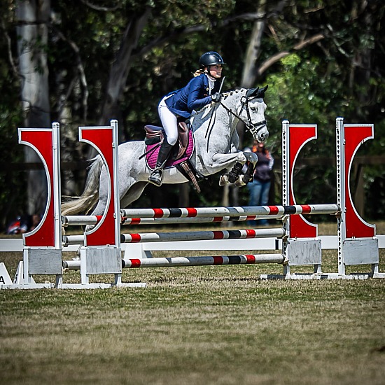 CT80-S SHOW JUMPING