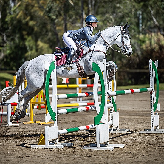 CCN 1 STAR SHOW JUMPING
