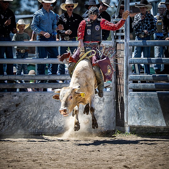JUNIOR BULL RIDE