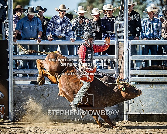 OPEN BULL RIDE ROUNDS 3 & 4