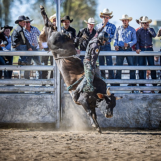OPEN BULL RIDE ROUNDS 1 & 2