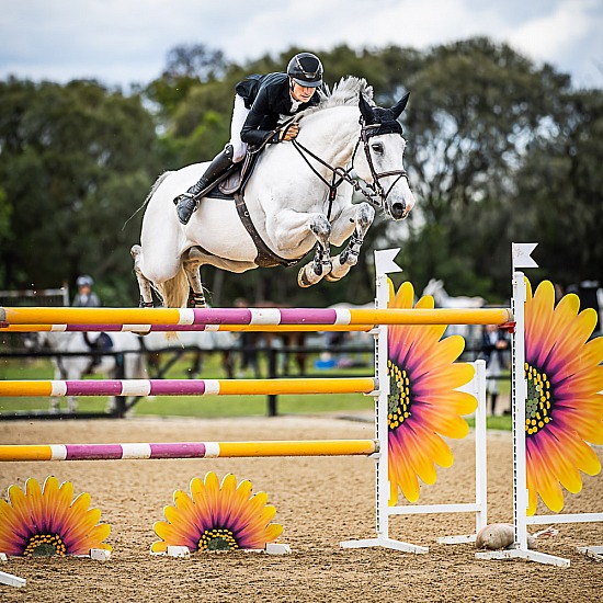 TOM McDERMOTT AND 'OAKS VENTRILOQUIST'