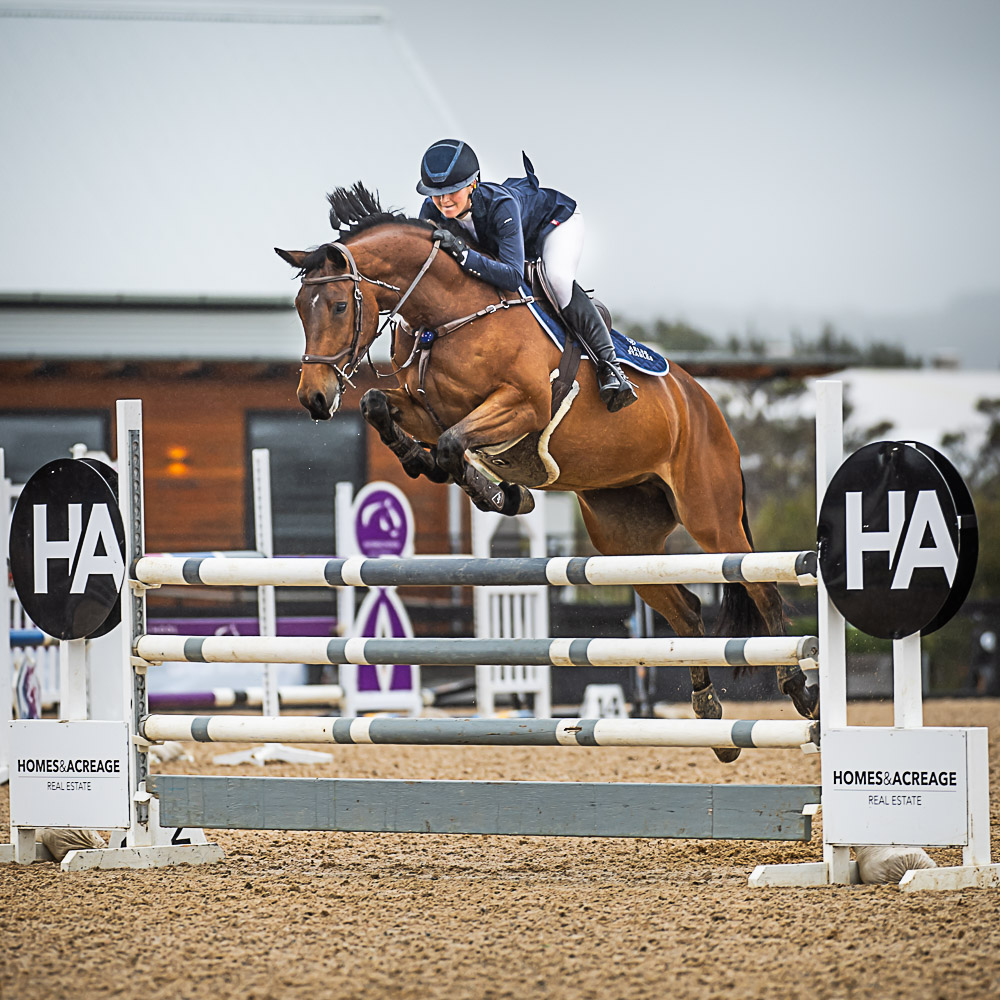 SALLY SIMMONDS - PORTFOLIO - BONEO PARK - AUSTRALIAN SHOW JUMPING ...