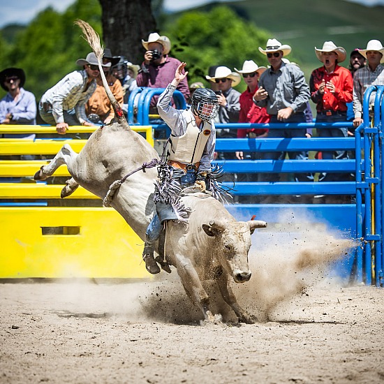 2ND DIVI BULL RIDE