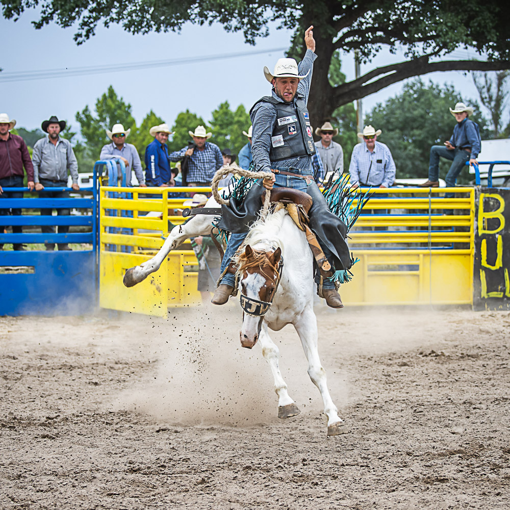 SADDLE BRONC - PORTFOLIO - RODEO - REREWHAKAAITU RODEO 2024 - www ...