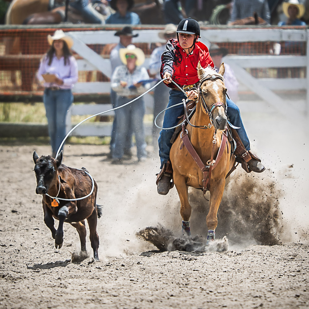 Breakaway Roping Rodeo Desktop JUNIOR BREAKAWAY ROPING - PORTFOLIO - RODEO - REREWHAKAAITU RODEO 2024 ...