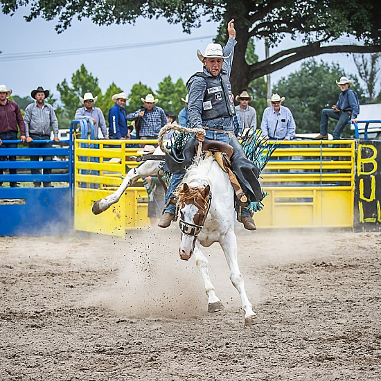 SADDLE BRONC