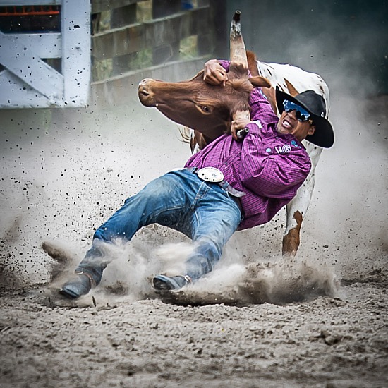STEER WRESTLING
