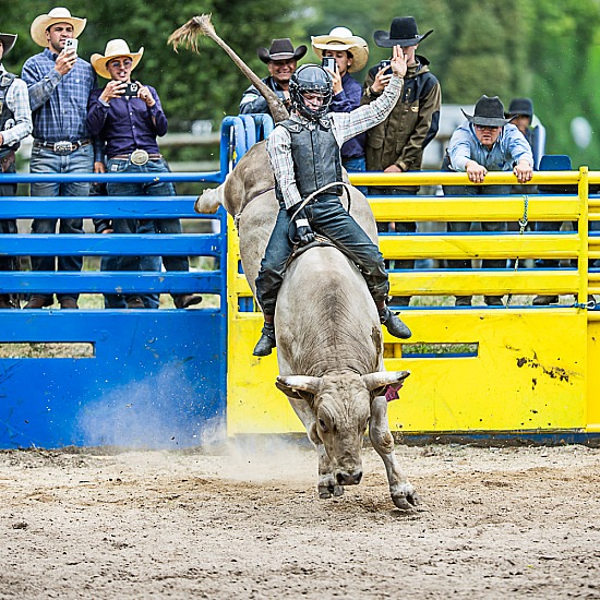 BULL RIDE