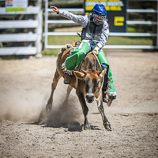 JUNIOR STEER RIDE